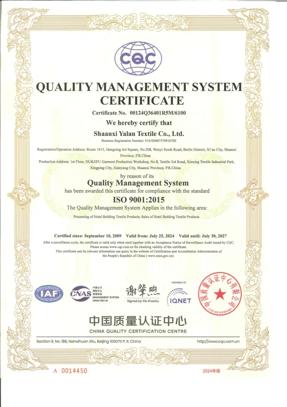 certificate 1 certificate 1